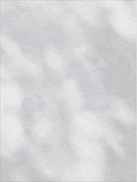 Forest 1