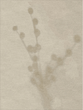 Plants 3