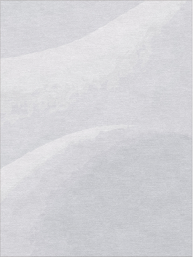 Spring Snow 2