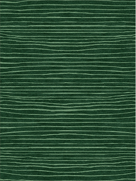 Zucchini 3